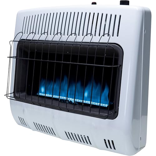 30,000 BTU Vent Free Blue Flame Propane Heater